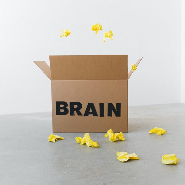 brain box